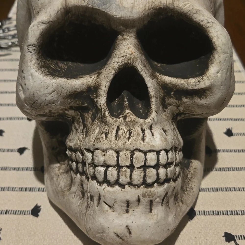 Halloween Skull - Picture 2 of 6
